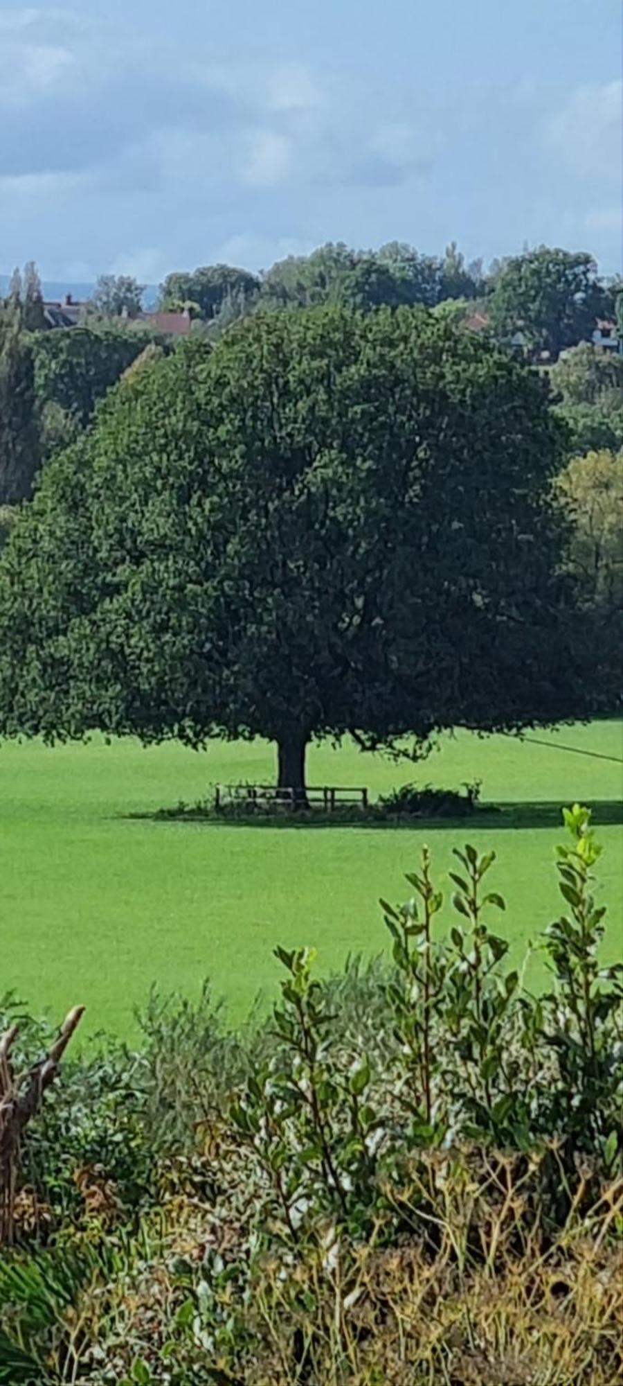 Ross-On-Wye Holiday Cottage Экстерьер фото